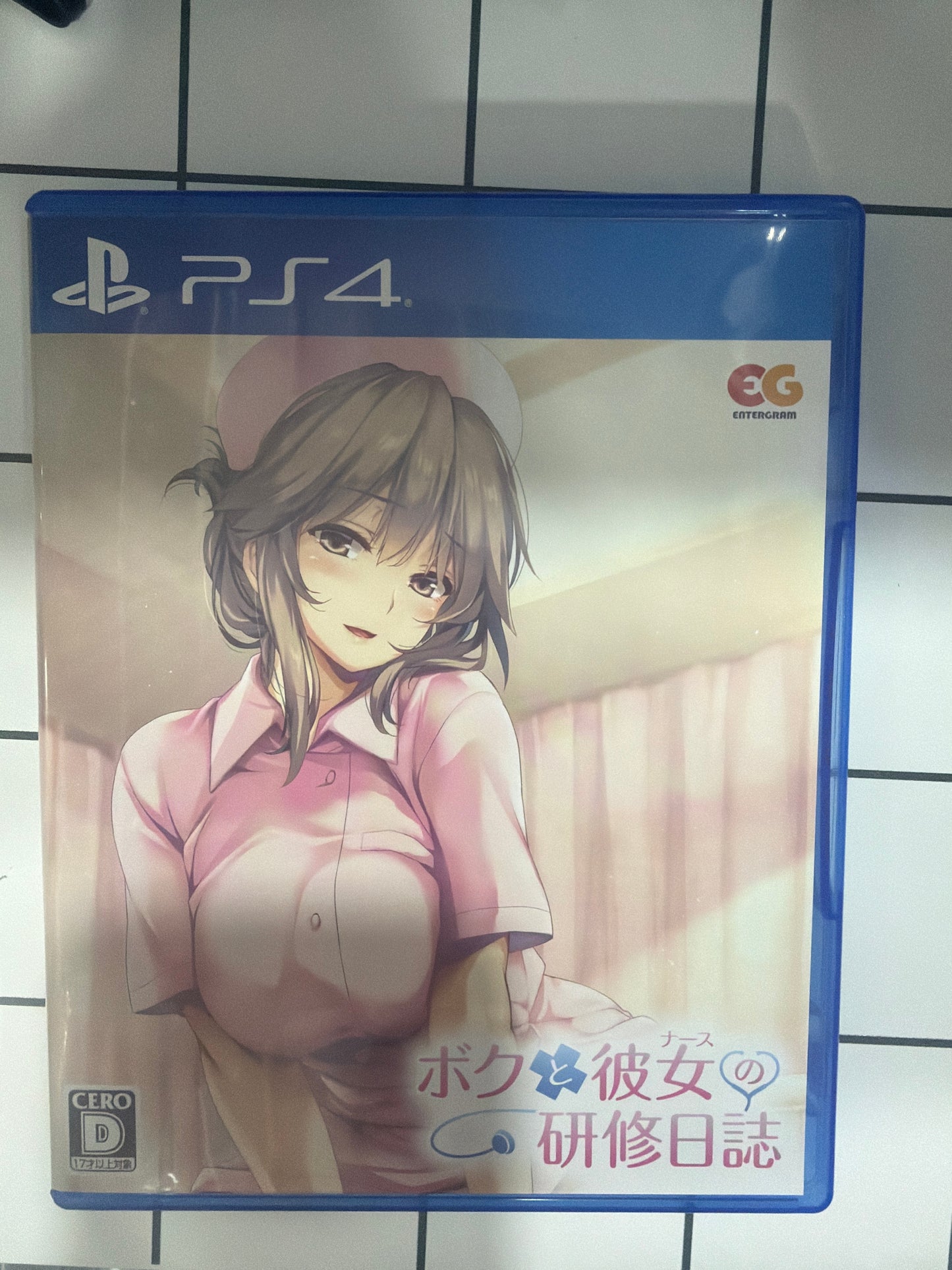 Boku To Kanojo No Kenshuu Nisshi