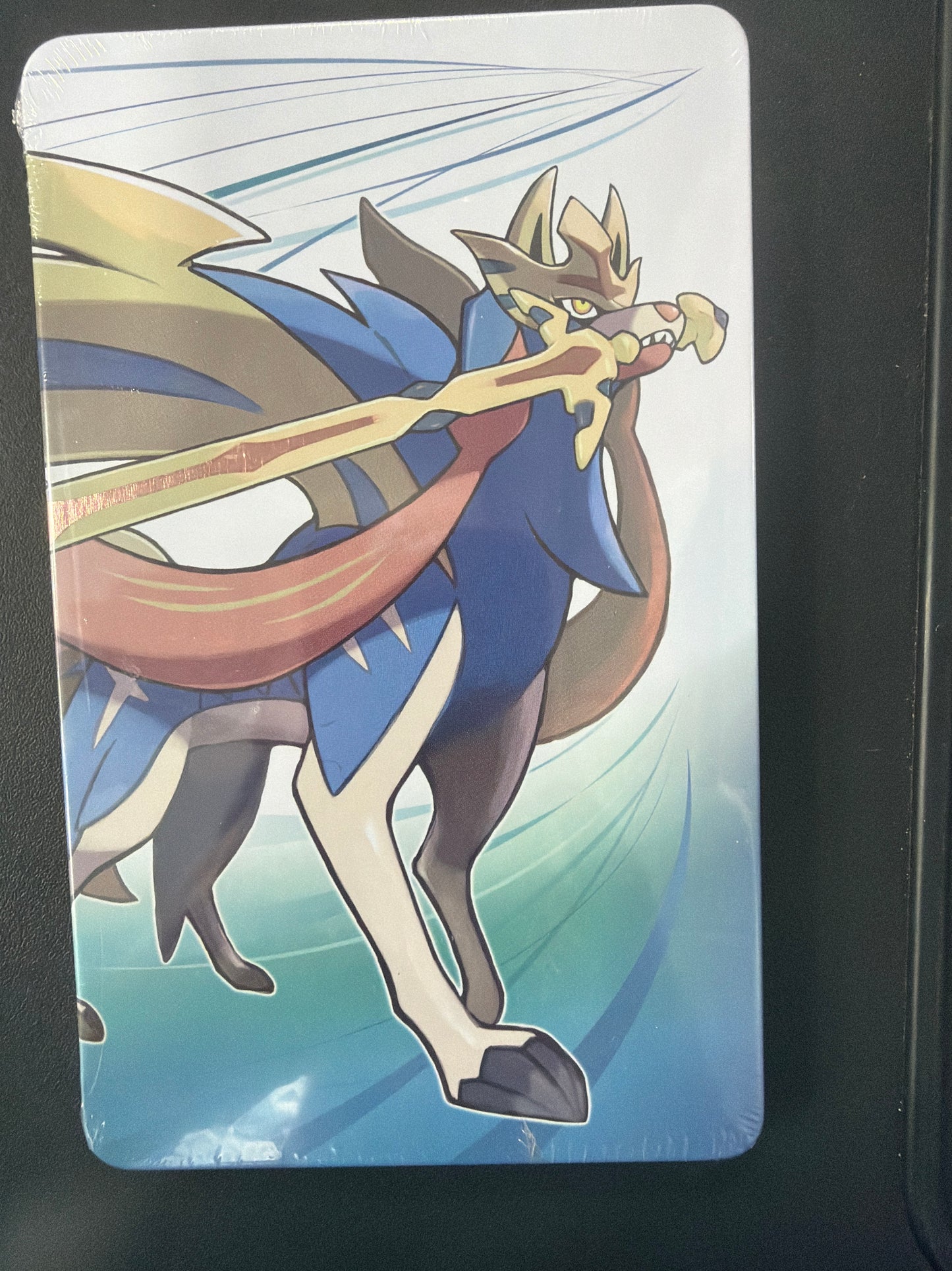 Pokemon Sword Steelbook