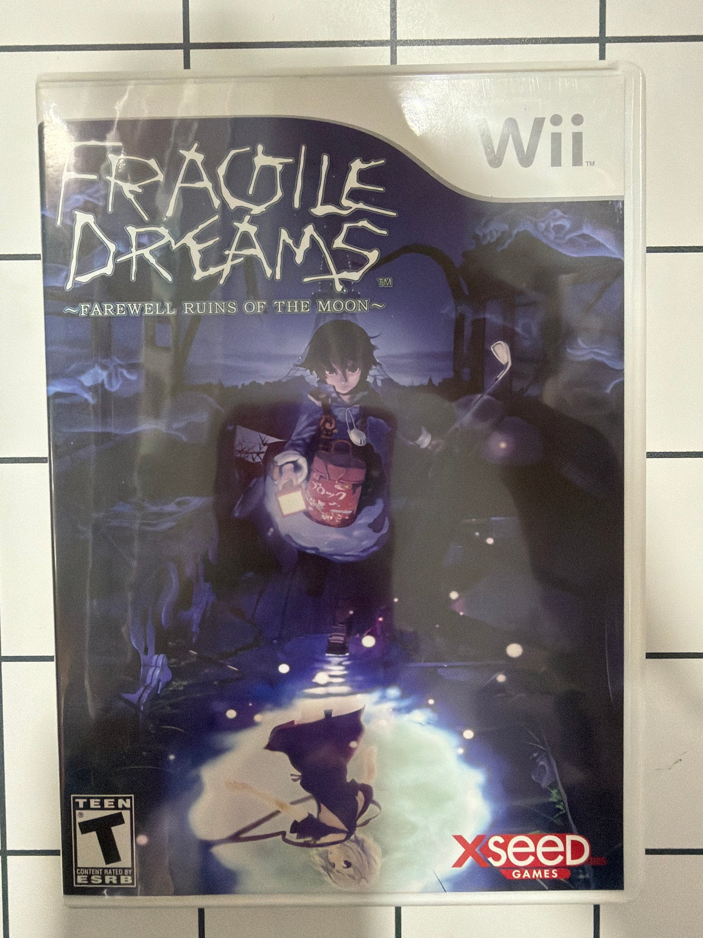 Fragile Dreams Farewell Ruins Of The Moon