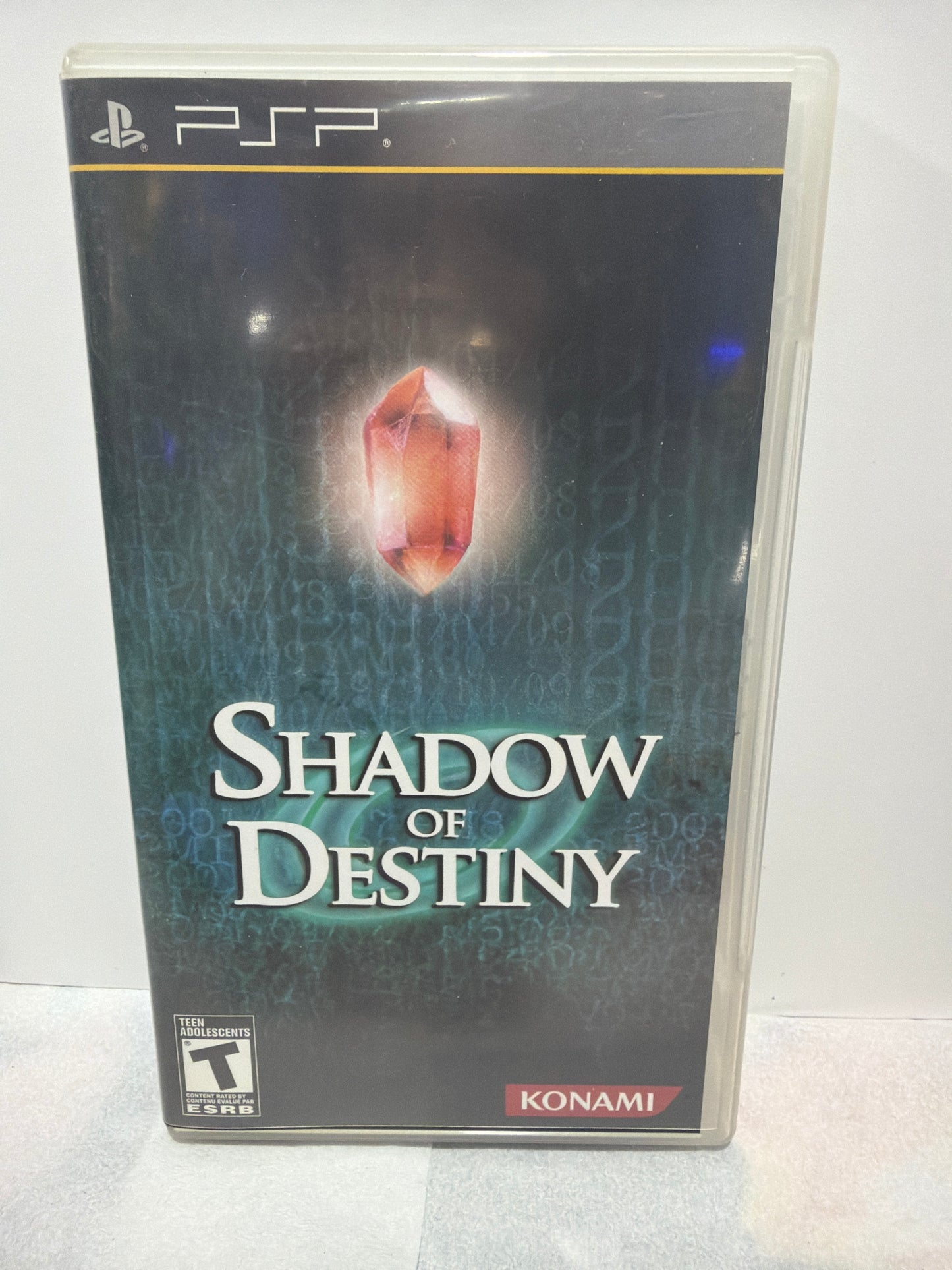 Shadow Of Destiny