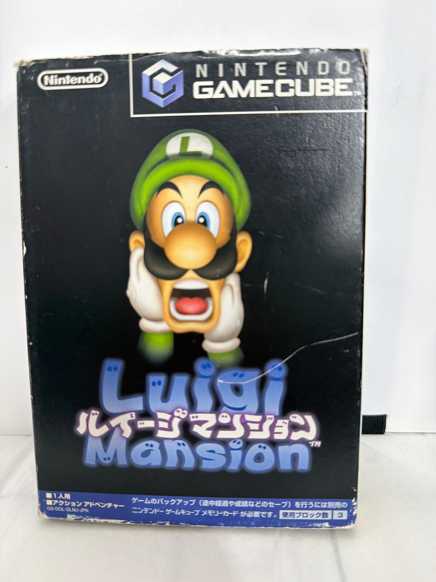 Luigi Mansion