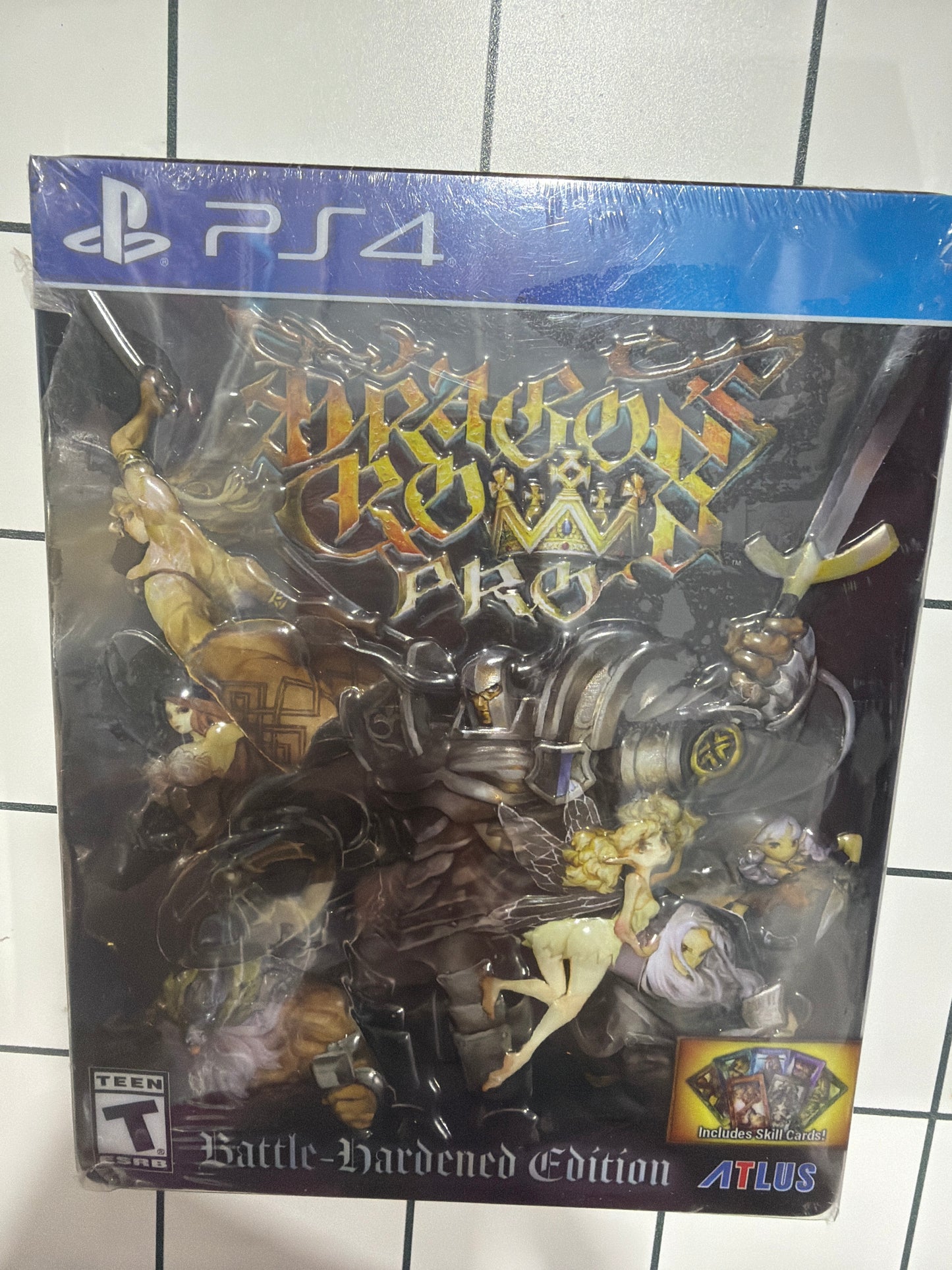 Dragon's Crown Pro